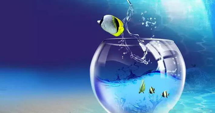 能源管理硕士告诉你什么是金融期货市场、金融期权市场，两者的区别