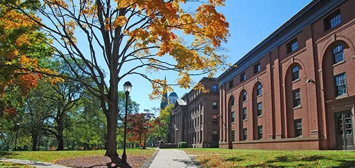 2020史无前例的国家线出炉，社科院中外合作办学硕士项目与国家线的缘去缘来