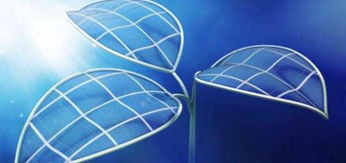 社科院杜兰能源管理硕士告诉你最好的投资，不是买房，不是炒股，而是.....