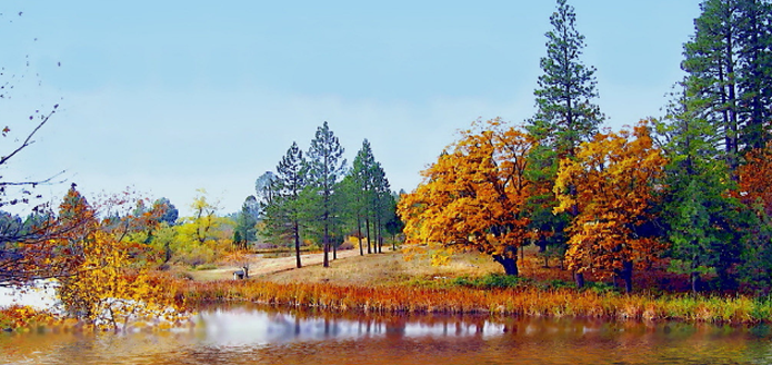疫情出国留学，心里没底儿？别急，中外合作办学硕士同样可以拿国际硕士学位