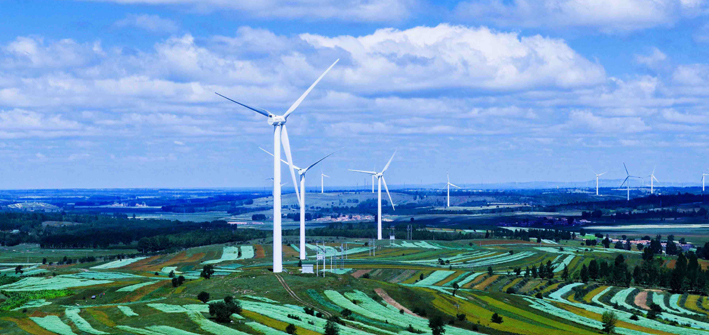 社科院杜兰大学能源管理硕士｜王永中：【19级MME】能源经济与能源市场