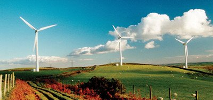 社科院杜兰能源管理硕士从师资到含金量，你都不容错过