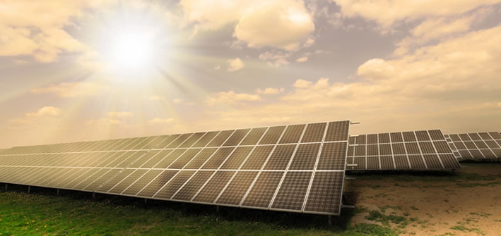 听社科院与杜兰大学能源管理硕士学长学姐讲述当年的故事