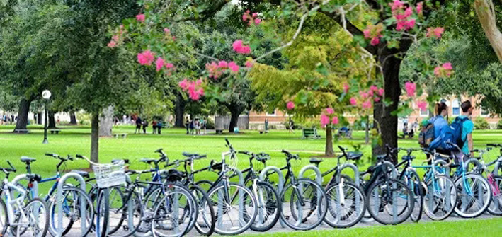 中国社科院与美国杜兰大学能源管理硕士，本想低调，但实力不允许