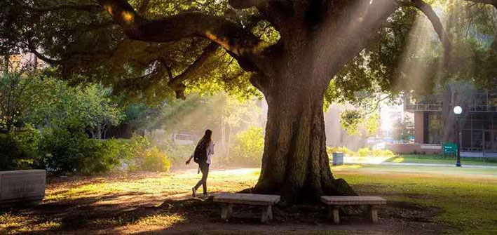 能认证博士来了--中国社会科学院大学与英国斯特灵大学合