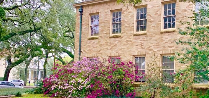 遇到即靠谱又符合国际大趋势的专业——社科院杜兰能源管理硕士，那就赶快入