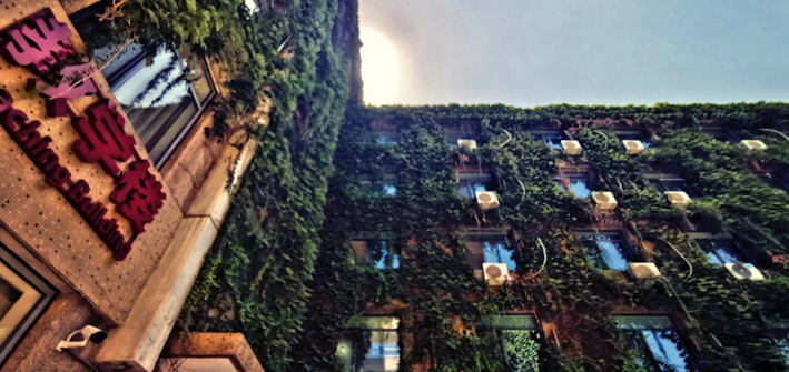 统招全日制硕士同时读社科院与美国杜兰大学中外合作办学硕士，没错，你可能