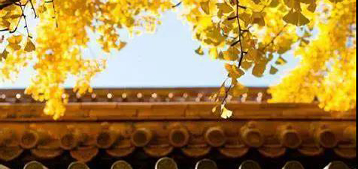 社科院与杜兰金融管理硕士&能源管理硕士｜2020级新生举行户外拓展活动