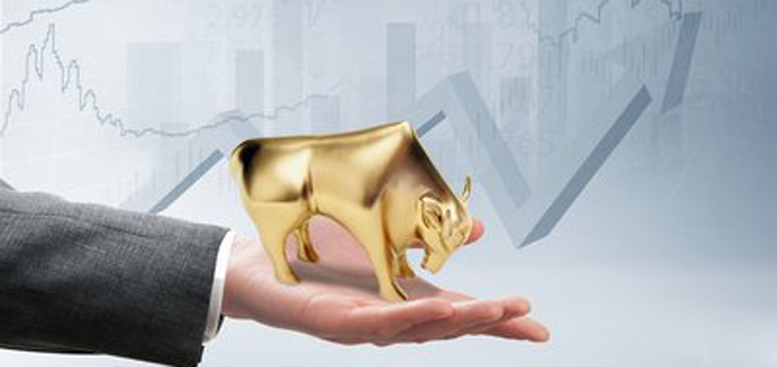 社科院与美国杜兰大学金融管理硕士|金融领域里带动物的术语你了解多少呢？