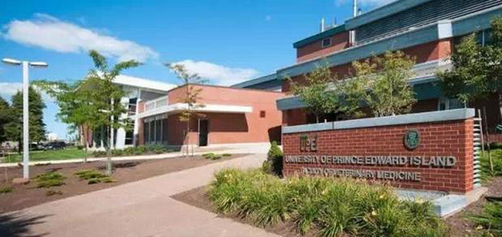 走进名校|加拿大爱德华王子岛大学硕士项目