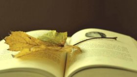 社科院杜兰金融管理硕士课程，拯救金融和管理中徘徊的你